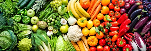 Fresh Organic Produce